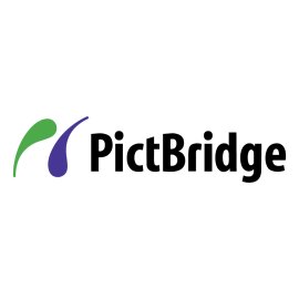 Pictbridge Logo Png | Pictbridge Logo Vector | Connecting Vision to Reality  Bridging Pixels and Print  The Visual Link  A Symbol of Seamless Creation