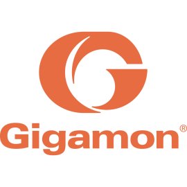 Gigamon Logo Png | Gigamon Logo Vector | Visibility in Motion  The Data River  Illuminating the Network  The Gigamon Eye