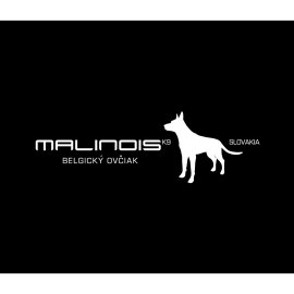 Lilium Logo Png | Lilium Logo Vector | Elegant Floral Emblem  Modern Botanical Symbolism  Timeless Brand Identity  Graceful Growth and Purity