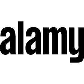 Alamy Logo Vector PNG | Minimalist black wordmark for Alamy stock photography brand | Bold lowercase typography representing accessibility and creativity | Clean, modern logo design for global image marketplace