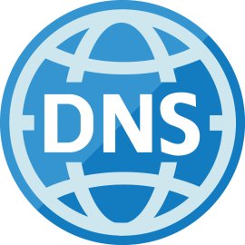 Dns Logo Png | Dns Logo Vector | Digital Nexus Symbol  |  Data in Motion  |  Secure & Connected  |  The Domain of Trust