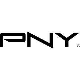Pny Technologies Logo Png | Pny Technologies Logo Vector | Precision in Pixels  Power in Performance  The Pny Promise  Visualizing Innovation