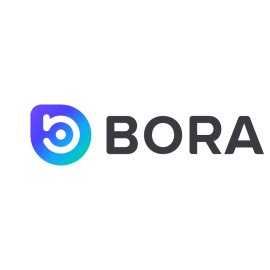 Bora Ecosystem Logo Vector PNG | Modern Gradient 
