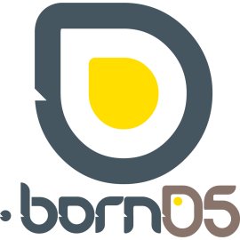 Born05 Logo Vector Png|Born05 Brand Emblem|Born05 Digital Experience Agency Logo|Born05 Modern Iconic Mark