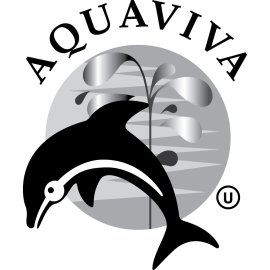 Corvil Logo Png | Corvil Logo Vector | Precision in Motion  Data Intelligence Redefined  The Corvil Signal