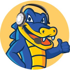 Hostgator Logo Png | Hostgator Logo Vector | The Host with the Most  A Gator's Guiding Presence  Web Hosting with Bite  An Icon of Digital Swamps