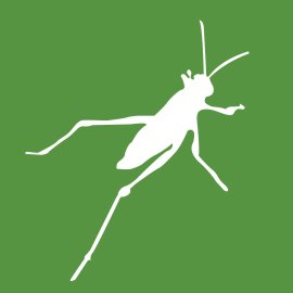 Grasshopperd Logo Png | Grasshopperd Logo Vector | Leap into Innovation  |  Precision in Motion  |  The Green Tech Vanguard  |  Agile Digital Solutions