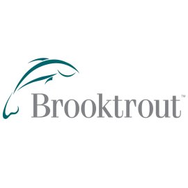 Brooktrout Technology Logo Vector PNG | Minimalist trout line-art emblem | Professional corporate wordmark | Streamlined identity for Brooktrout brand
