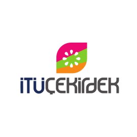Itu Cekirdek Logo Png | Itu Cekirdek Logo Vector | Seed of Innovation  Core of Simplicity  Turkish Tech Essence  Modern Minimalist Mark