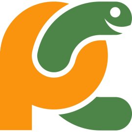 Pycharm Logo Png | Pycharm Logo Vector | The Python's Gaze  |  Intelligent Insight  |  Code in Harmony  |  The Developer's Flame