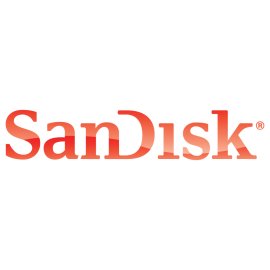 Sandisk Logo Png | Sandisk Logo Vector | Digital Memory Pioneers  Flash Storage Innovators  The Silicon Signature  Trust in Every Byte