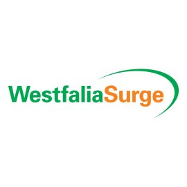 Westfalia Surge Logo Png | Westfalia Surge Logo Vector | The Power of Flow  Precision in Motion  Heritage of Engineering  Modern Surge Control