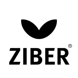 Ziber Logo Png | Ziber Logo Vector | Digital Pulse  Network Nexus  Data in Motion  Secure Identity