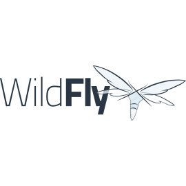 Wildfly Logo Png | Wildfly Logo Vector | Untamed Elegance  Soaring Innovation  Nature's Digital Spirit  The Wildfly Emblem