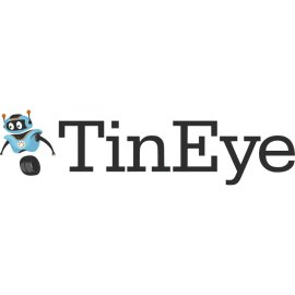 Tineye Logo Png | Tineye Logo Vector | Reverse Image Search Pioneer  Visual Discovery Engine  The Eye on the Digital World