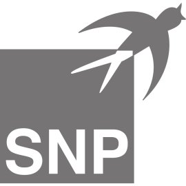 Snp Se Logo Png | Snp Se Logo Vector | Precision in Motion  |  Data Streamlined  |  Identity Forged