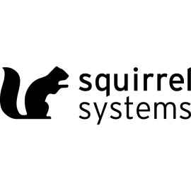 Squirrel Systems Logo Png | Squirrel Systems Logo Vector | Agile Intelligence  Nut-Cracking Innovation  Data in Motion  The Squirrel Systems Logo