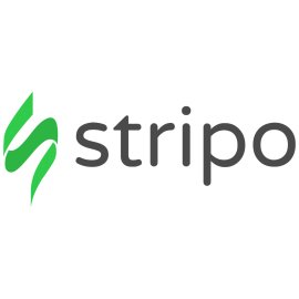 Stripo Logo Png | Stripo Logo Vector | Crafting Visual Emails  Building Digital Narratives  The Stripo Signature  From Concept to Inbox