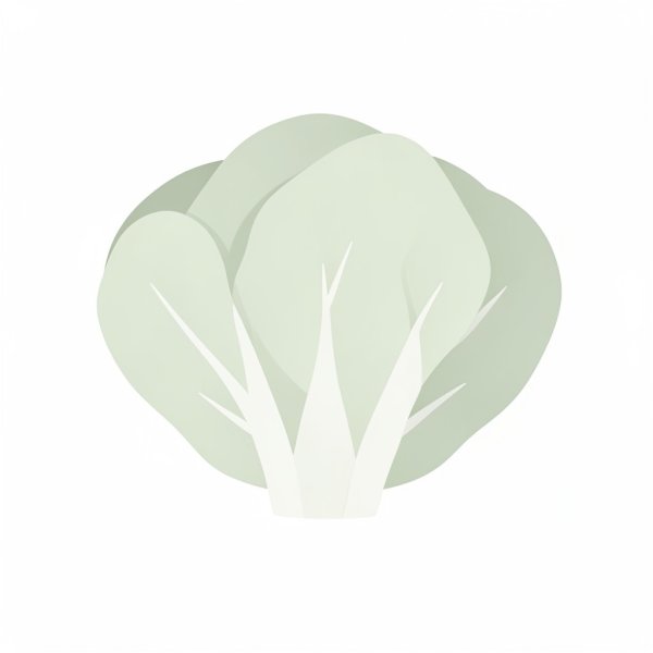 Elegant White Cabbage Flat Vector White Background PNG - freepng