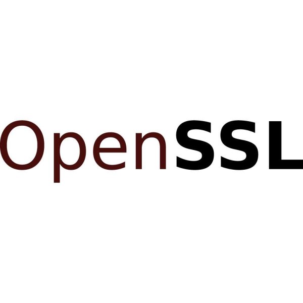 Open Ssl Logo Png | Open Ssl Logo Vector | OpenSSL: The Digital ...