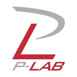 P Lab Logo Png | P Lab Logo Vector | Precision Meets Innovation  |  The P Lab Identity  |  Science of Design
