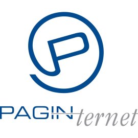 Paginternet Logo Png | Paginternet Logo Vector | Paginternet: Bridging Pages and Networks | Digital Connectivity Redefined | The Logo of Unified Knowledge