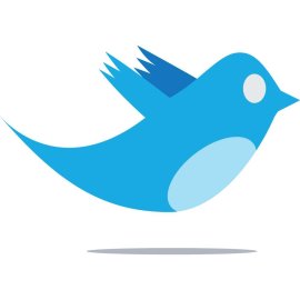 Twitter Bird Logo Png | Twitter Bird Logo Vector | Twitter Bird Reimagined: Flight of the Digital Blue  Soaring Tweets  Minimalist Icon